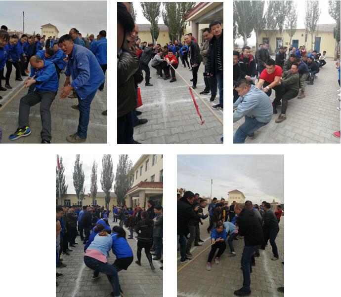 太阳集团tcy8722(中国)唯一官方网站