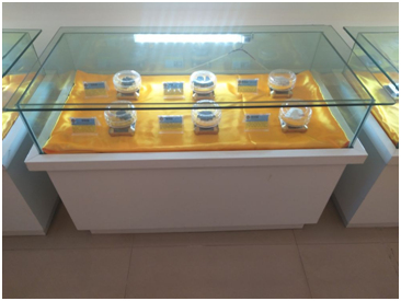 太阳集团tcy8722(中国)唯一官方网站