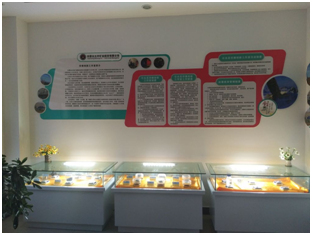 太阳集团tcy8722(中国)唯一官方网站