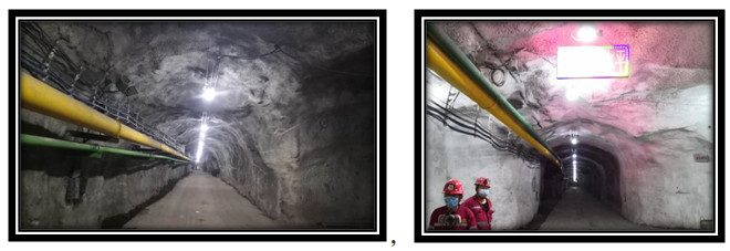 太阳集团tcy8722(中国)唯一官方网站