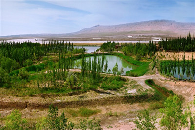 太阳集团tcy8722(中国)唯一官方网站