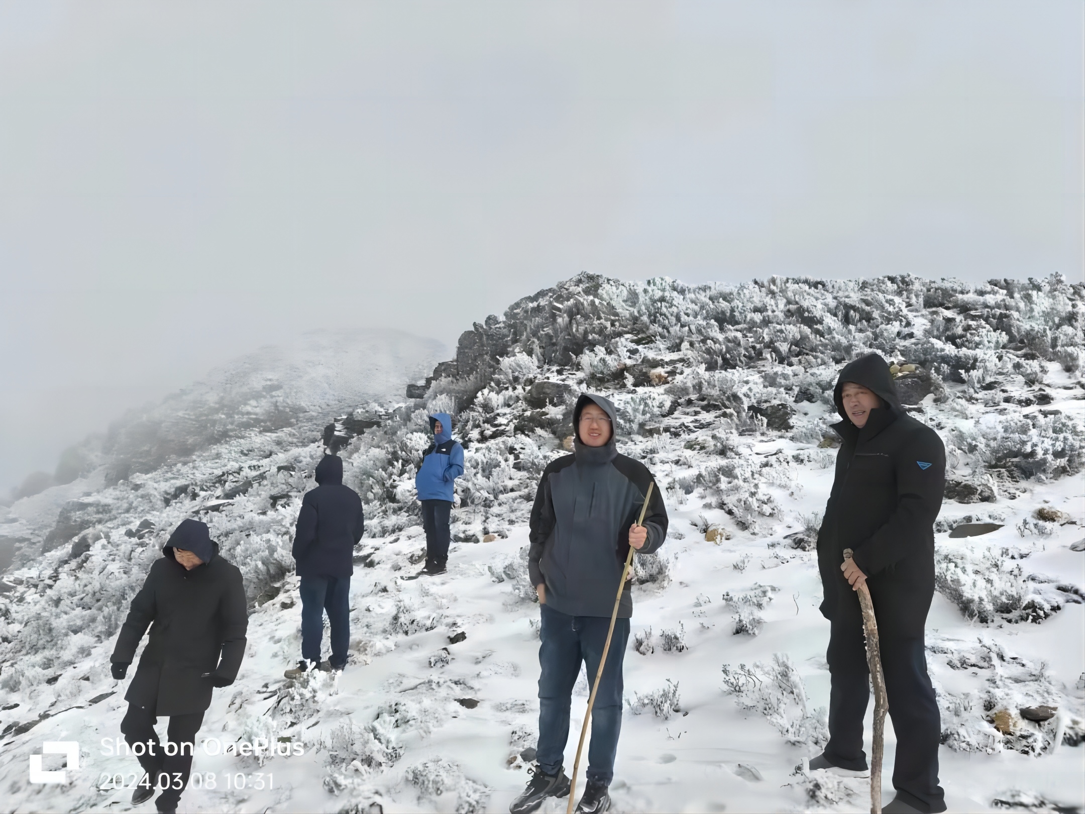 傲雪凌霜，只为有“锂”