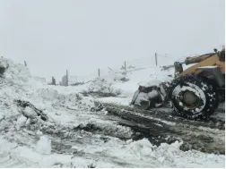 太阳集团tcy8722(中国)唯一官方网站