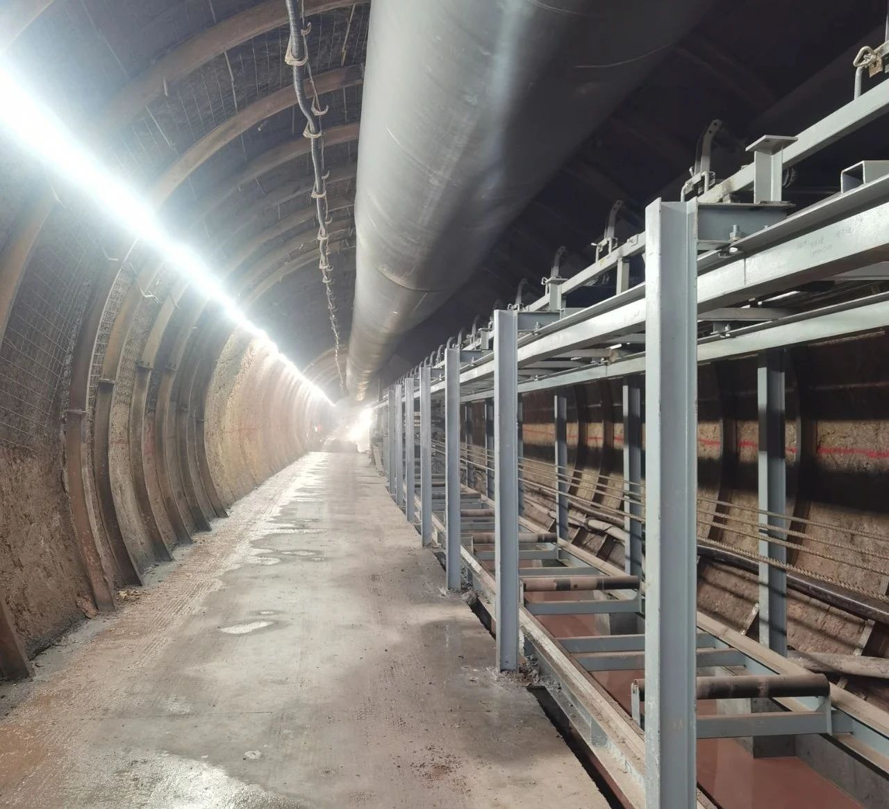 太阳集团tcy8722(中国)唯一官方网站